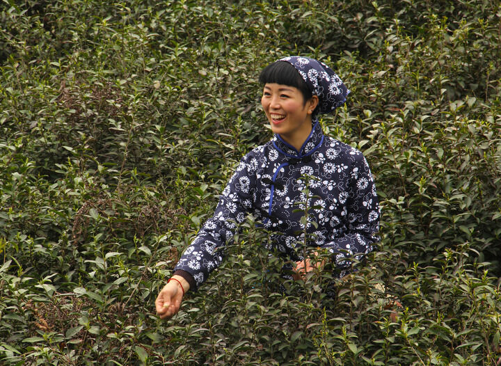 37间房主播跳舞 侦探剧场